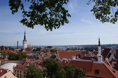 Blick auf Tallinn