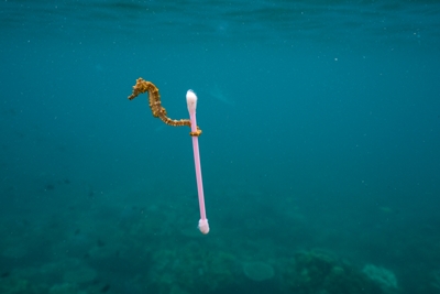 Vorsicht Plastik