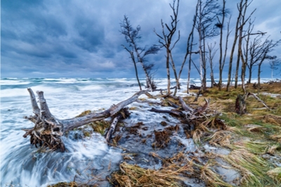 Nationalparktage in Zingst