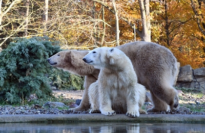 Herbst im Zoo Rostock