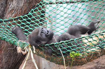 Tropenexpedition im Zoo Rostock