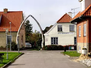 Walkiefer in Hals in Nordjütland an der Ostsee in Dänemark