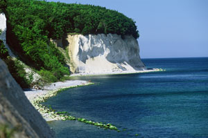 Kreideküste im Nationalpark Jasmund auf der Ostseeinsel Rügen