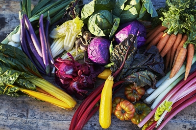 „Foodstock“ in den Schären