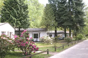 Ferienhäuser am Forsthaus Damerow