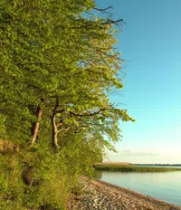 Schöne Aussichten am Achterwasser der Insel Usedom