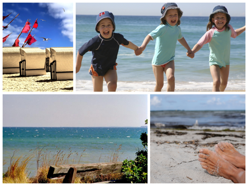 Widerrufsbelehrung  Formular Netto