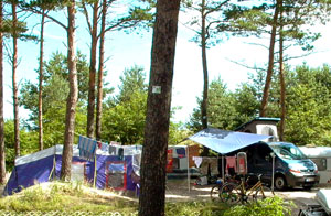 Camping im Mecklenburger Dünenwald