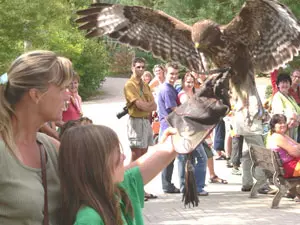 Vogelpark Marlow/Mecklenburg (Foto: Vogelpark)